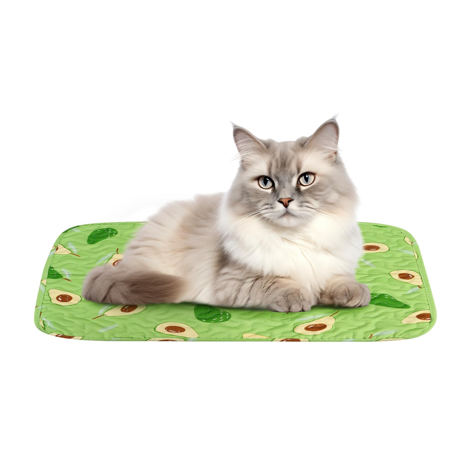 Iridsmole Cat Cooling Mat, Pet Pad for Summer, Green Avocado Pattern, 40 x 50 cm, Ice Silk Fabric, Latex, Non-slip Granule Cloth, Foldable, Hand Wash Only