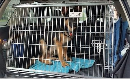 freelander dog cage