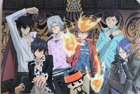 Amazon 家庭教師ヒットマンリボーン イベント限定版 特大クリアポスターb並行輸入 おもちゃ おもちゃ