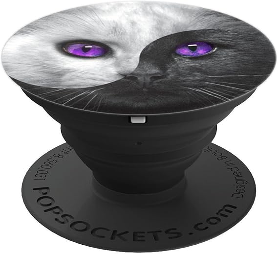 Amazon Com Yin Yang Kitten Cat