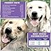 Peppy-Paws Glucosamine Chondroitin for Dogs with MSM - All Natural Joint Supplement for Dogs - Improves Mobility - Hip Dysplasia - Dog Joint Pain - Reduces Inflammation-120 Beef Flavored Tablets