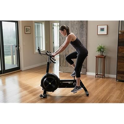 concept 2 resistance