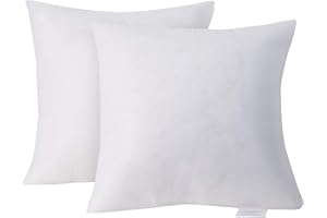 Acanva Decorative Throw Pillow Inserts for Sofa, Bed, Couch and Chair, Square Euro Sham Form Stuffer with Premium Polyester Microfiber, 28"x28" 2 Pack, White 2 Count