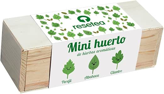 Minihuerto de hierbas aromáticas: Amazon.es: Jardín