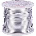 BENECREAT 12 Gauge 100FT Silver Aluminum Wire Anodized Jewelry Craft Making Beading Floral Colored Aluminum Craft Wire for Je
