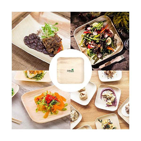ORGA-ECO-FRIENDLY-PRODUCTS-Palmware-leaf-tableware-I-25-pieces-Palm-Plate-rectangular-25-x-25-cm-I-Bio-Disposable-Crockery-Biodegradable-Party-tableware-disposable-tableware-10-inch-No-of-25-Plates ORGA ECO-FRIENDLY Products Palmware Leaf Tableware I 25 Pieces Palm Plates Rectangular 25 x 25 cm I Bio Disposable…