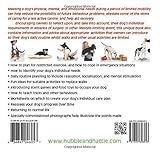 Image de No walks? No worries!: Maintaining wellbeing in dogs on restricted exercise
