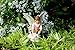PRETMANNS Fairy Garden Fairies Accessories – Miniature Gnome & Farm Animals – 6 Piece Set – Part of The Fairy Farm Collection