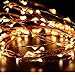 Lachesis Dimmable LED Starry String Lights, (66 Ft, 200 Leds, Copper Wire Lights with UL Certified), Waterproof Firefly Lights for Christmas, Wedding, Party, Holiday Decorative