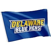 Desert Cactus University of Delaware UD Flag - 3 x 5 Feet Fightin Blue Hens Banner, Indoor/Outdoor Durable Fabric, 100% Polyester Design (Style 3)