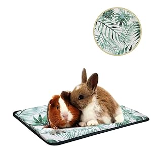 Oncpcare Summer Pet Small Animals Bed, Self-Cooling Small Animals Pad Resting Cozy Guinea Pig Pad Playing Kitty Mat Puppy Rug for Ferret Pig Squirrel Rabbit Chinchilla