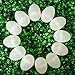 BestPysanky 12 White Plastic Easter Eggs
