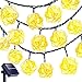 Goodia Solar String Lights, 20 Feet 30 LED Rattan Ball Fairy Lights with Waterproof Solar Panel & 2 Lighting Modes for Outdoor Patio Lawn Garden Christmas Party Decorations, Warm White