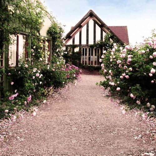 GladsBuy Beauty Courtyard 6' x 6' Computer Printed Photography Backdrop Housing Theme Background DT-LP-0500