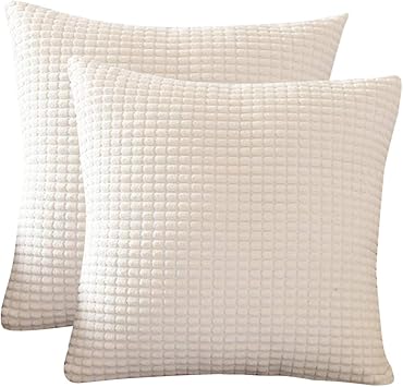 Amazon Com Topchances Set Of 2 Decorative Corduroy Throw Pillow
