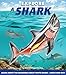 Explore a Shark