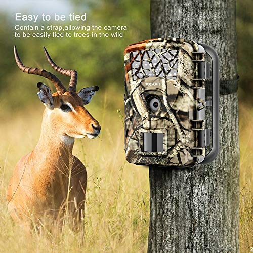 Trail Camera Hunting Game Camera, 2019 Upgraded Motion Activated Night