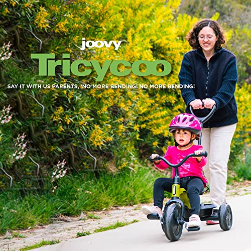 Joovy Tricycoo Fold & Go Toddler Tricycle Featuring Removable