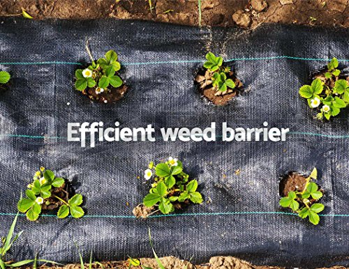 Ecover 5oz Landscape Weed Barrier Needle-Punched Fabric Weed Block for Raised Bed Gardening Mat with Peg - 6' x 8',Black