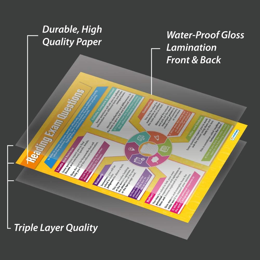 Daydream Education Reading Exam Questions, 85L x 59.4W cm - Image 4