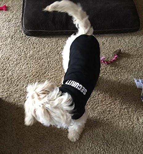 BINGPET SECURITY Dog Shirt Summer Clothes for Pet Puppy Tee shirts Dogs Costumes Cat Tank Top Vest-Medium
