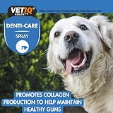 VETIQ Denti-Care Dental Spray for Dogs & Cats – 100ml view 3