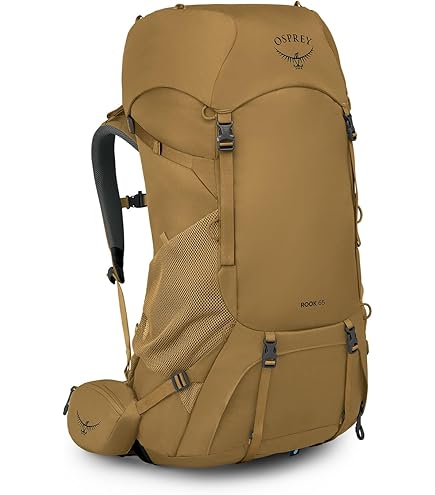 Osprey Atmos AG 65L Men's Backpacking Backpack, Mythical Green, S/M : Sports & Outdoors