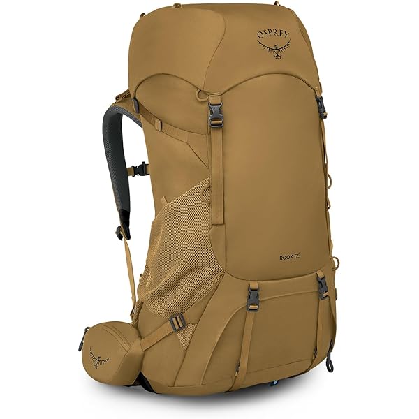 Amazon.com : Osprey Aether Plus 100L Men's Backpacking Backpack, Axo Green,  S/M : Sports & Outdoors