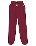 Champion Men's Cotton Max Fleece Pant, Sport Maroon