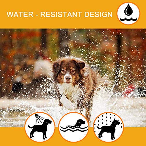 Flea and Tick Prevention Collar for Dogs 1 Year Protection Control Safe & Hypoallergenic & Waterproof & Adjustable Size 25 Inches Fits Most Dog - Thumbnail 6