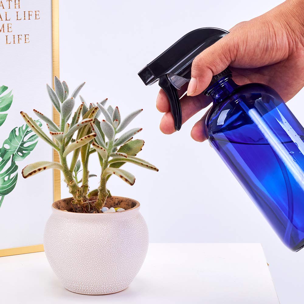 Glass Spray Bottles 16oz Refillable Container suitable for essential oils, cleaning products, aromatherapy, water mist plants (2 Pack，Blue) : Beauty