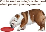 Vivifying 2 Pack 7 Inch Natural Rubber Flying Disc for Dogs Green Red view 4