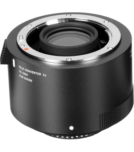Amazon.com : Kenko 2.0X PRO 300 Teleconverter DGX for NIKON AF