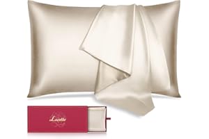 Silk Pillowcase for Hair and Skin,Lacette 22 Momme 6A Soft Mulberry Silk Pillow case with Hidden Zipper,600 Thread Count, Dual Side Silk/Wood Pulp Fiber Pillow Cover(Champagne,Queen 20"x30",1 Pack)