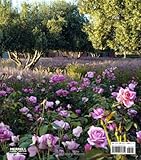 Image de Gardens of Luciano Giubbilei