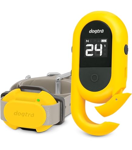 Vhbw Battery Compatible With Dogtra 175NCP, 175NCP Receiver