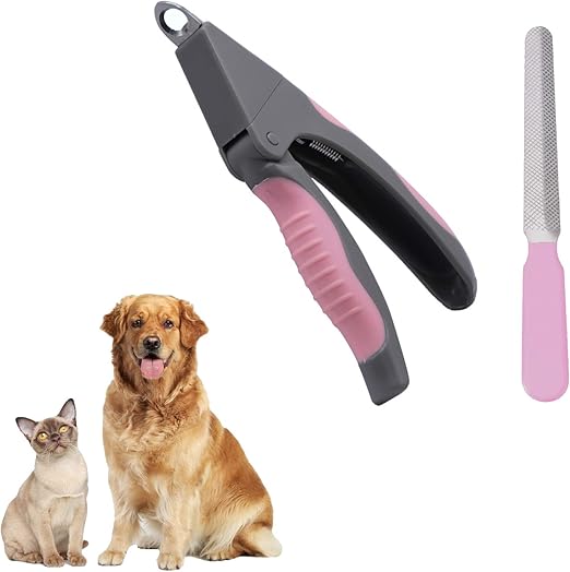 dog claw filer