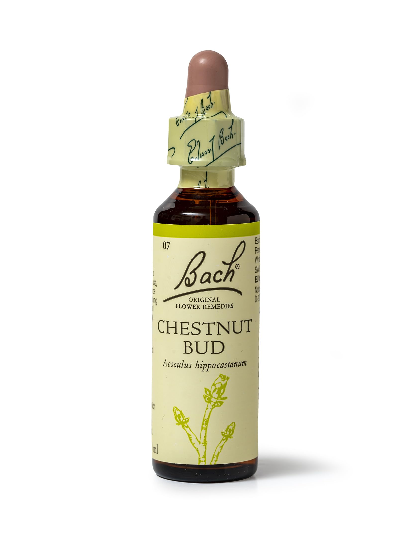 Bach Original Flower Remedies Chestnut Bud, Live The Day, Learn From Mistakes, Emotional Wellness, Natural Flower Essence, 20ml