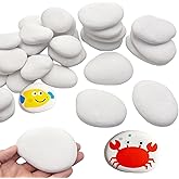 Amazon: CYLHCM 60 PCS Rocks for Painting, 1.5"-3.0" Flat DIY