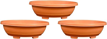 KHOJI Plastic Oval Bonsai Tray -19
