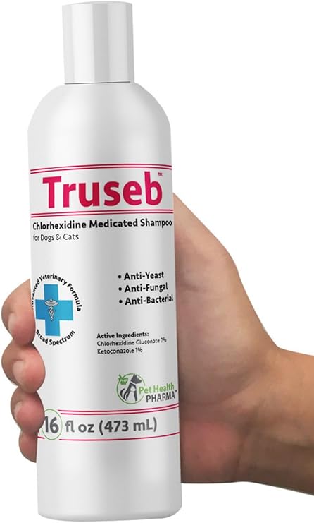 ketoconazole and chlorhexidine shampoo