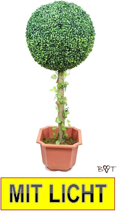 Buis Buis Hauteur 45 Cm Petite Boule De Buis Vert Fonce O 18 Cm 180