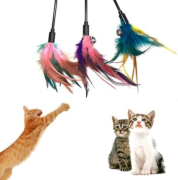 cat toys that cats love