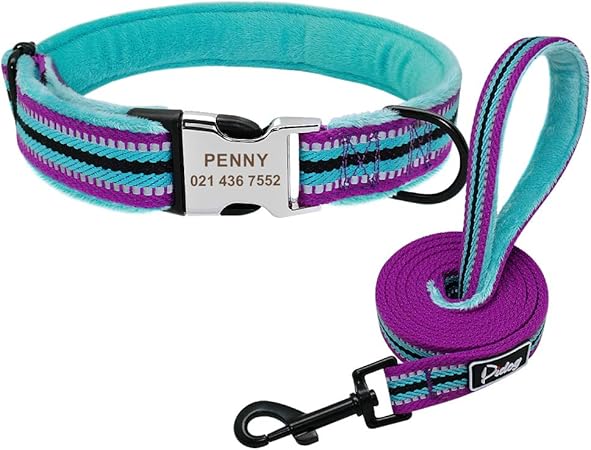 amazon dog collar with name