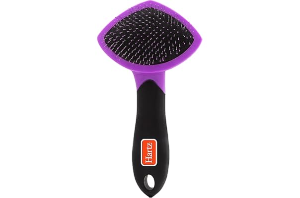 cat flea comb amazon