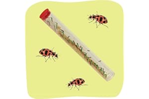 Insect Lore 10-15 Ladybug Larvae - Live Pink Spotted Ladybug Larvae - Grown in USA - Refill for Habitat - Observe, Raise & Release Ladybugs