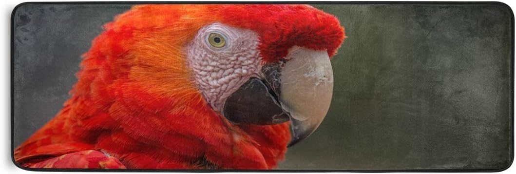 Sennsee Zerbino Da Cucina Con Pappagallo Rosso Antiscivolo Per Casa Corridoio Ingresso Camera Da Letto 72 X 61 Cm Amazon It Casa E Cucina