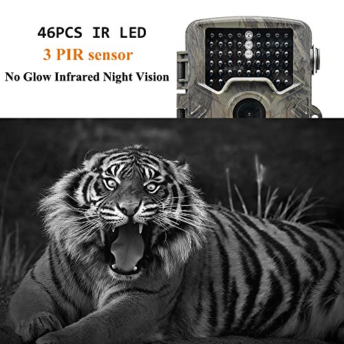 TOP-MAX 1080P 16MP Trail Camera,Digital Wildlife Hunting Game Camera -Waterproof Trail Cam with 120° PIR Sensor/No Glow Infrared Night Version/Motion Activated for Wildlife and Home Security - Thumbnail 2