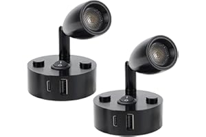 WTNYOU 2-PCS RV Reading Lights 12V Interior with USB-A & USB-C Charging Ports, Rotatable Camper LED Light Fixture, RV Bedside Light for Motorhome, Camper, Travel Traile, Boat and Van