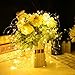 LightsEtc String Lights, 15.7ft 20 LED Solar Warm White Blossom Lighting Waterproof Flower Fairy Lights for Christmas Holiday Party Indoor Outdoor Houses Garden
